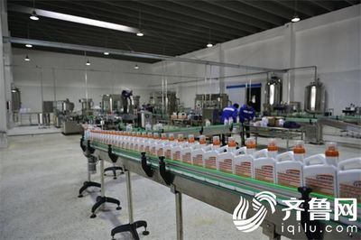 改革开放看荣成 全国知名媒体、名博网红走进世代海洋 探秘生物有机肥料研发新里程