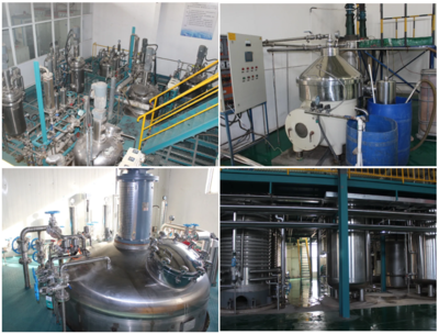 根力多生物科技新突破 年产五万吨微生物菌剂及五千吨氨基酸水溶肥项目成功试车，引领生物有机肥料研发新浪潮