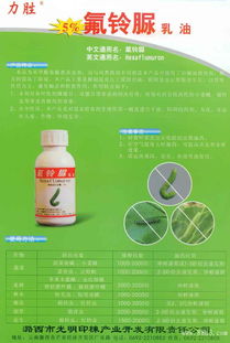 绿色农业新篇章 潞西市光明印楝产业的多元化产品布局与生态承诺