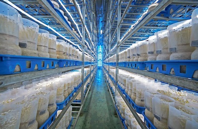 福建省首家农业产业研究院落户厦门翔安 专注生物有机肥料研发助力绿色农业